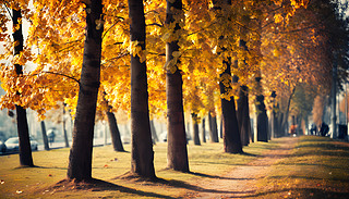 ꖹĵʮoгɭֵĽɫâ