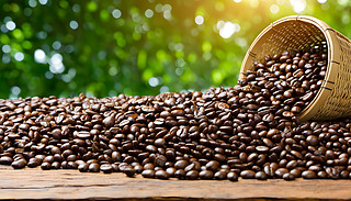 rի@Peaberryȶԭľϵ