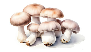 ˇg(sh)ˮLʳĢˬİɫ