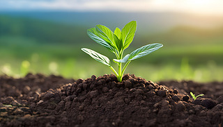 ЙC(j)еrmֲչʾ˳MľG