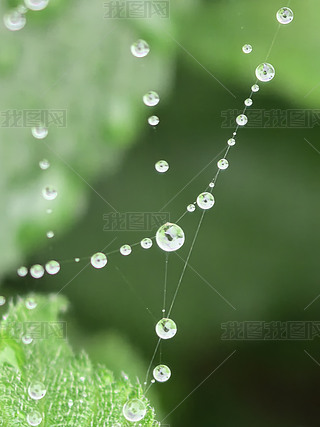 3΢^¶鴮(xing)朳¶֩W(wng)