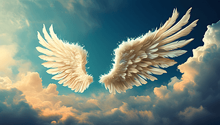 ̄(w)(mng)ĳ򱳾(bo)