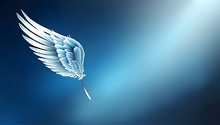 (jin)s̄(w){(ln)ɫu׃(mng)ĳ򱳾(bo)