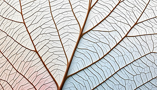 M~˵Ĳʺu׃չF(xin)s