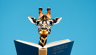 R֪R(sh)L(zhng)i¹һ{(ln)ɫ