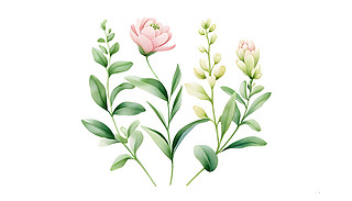 µķۼtɫ[[ľG~ԭʼİɫ