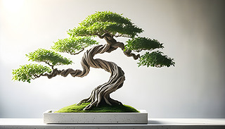 ?k)oԘ(sh)_F(yng)(yu)г