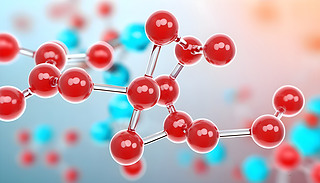 ֬(ch)ʳ(du)xӰ푺ͽĳ