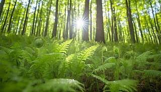 C(j)ľGɫɽc(din)YïܵĘľܛ