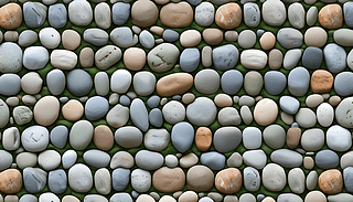 SC(j)ʯ^ڼZʯo(w)pDGɫ1