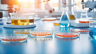 F(xin)＼g(sh)еĄ(chung)΢о