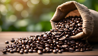 r決ĿȶĴ鲼ӯBľ|(zh)