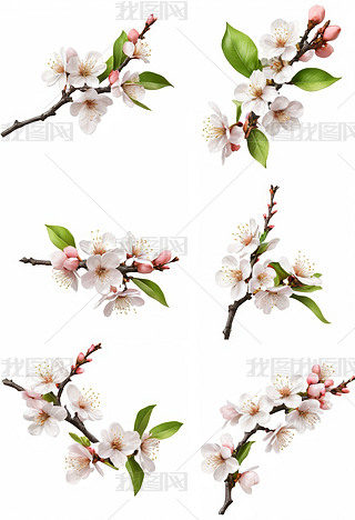 һ滨֦݋b