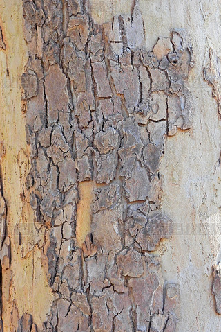 ľļy