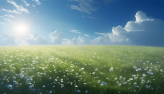 {(ln)Ɖ(mng)VΨݵL(fng)L(fng)ı