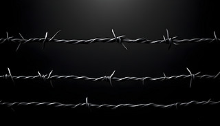 O(jin)ӰFzW(wng)(du)ڰ̽ɺͿֵ֑}