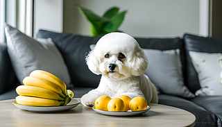 ˵İɫȮm҃ȭh(hun)̽P