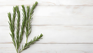 Ƭ²ƽڰɫϞıO(sh)Ӌ(j)Ԫṩ