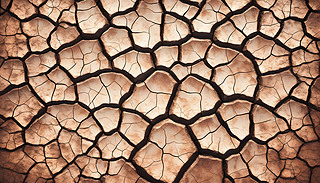 yչF(xin)(f)sɫɫɫ{(dio){(dio)