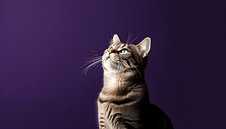 BƤ؈ںɫ̧צע̈́(chung)