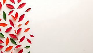 Mĝu׃²Dڜ\ɫչʾGɫt