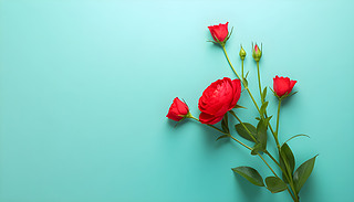 MҰ͹@Ȼ羫µɫʺ;