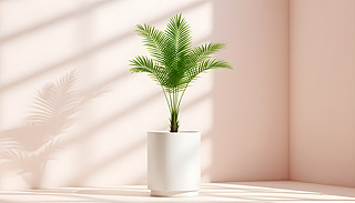 OxľGɫbڰɫչʾȻ֮