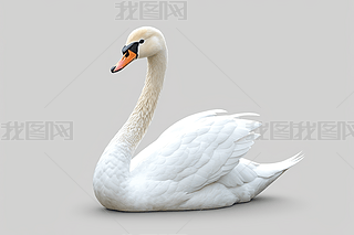 һֻZDƬ