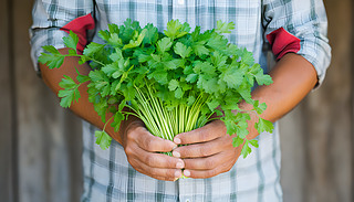 r(nng)ԺꖹĵҰչʾrի@߲