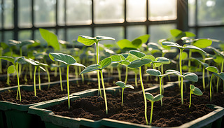 ԾµĽc(din)Ȼh(hun)S