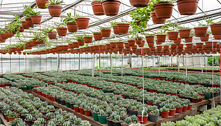 ڿ÷¡ߵ(CameronHighlan