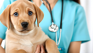 АĵīFt(y)һֻ{(ln)۾ɫ{(ln)ɫr