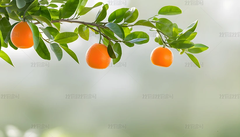 {ɫ