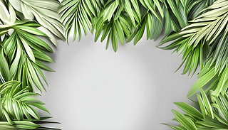 MĳG|(zh)ֲչչʾµL