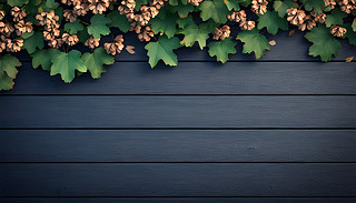 ،(w)ݮ֦չʾrѿͳM~