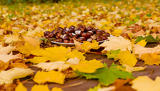 ＾oﮋӷ|(zh)ɫľ܇h(hun)@