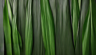 (yu)ŵľyy҃(ni)O(sh)Ӌ(j)c(g)Իֻ(chung)O(sh)