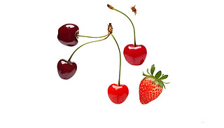 ҺͲݮ˽MpoˮP(gun)ϵ