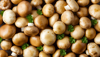 (yu)ŵسʬF(xin)r㹽MĚWԼy