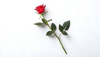 (yu)ŵļtõ[[ľG~ˬİɫ