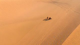 L(fng)箋(hu)ԽόһλDŮܴԽɳ