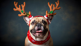 ڴֱĹ(ji)ՈϲcķţȮʥQZ