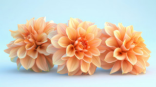 Ȼ3d