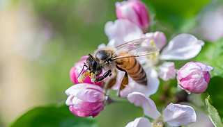 ^ҕ·æ۷ď(f)s(x)(ji)