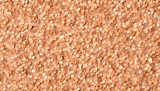 ɫƬ䁝M˼y沶׽˽(jng)w