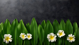 ?k)oĲݵϾ݆ʢ_(ki)ֻO(sh)Ӌ(j)ď(f)ƿgS