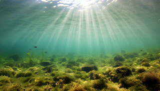 C(j)ˮ¾ꖹ͸^GɫˮM(jn)