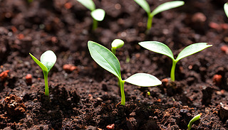 C(j)ķֵаl(f)ѿwF(xin)L