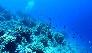 C(j)ɺB(ti)ϵy(tng)НˮTˮ̽U(xin)