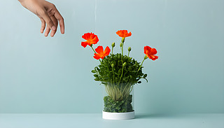 ϲcʯ񻨃(yu)ŵڹ(ji)պͷ۵